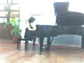 concierto piano concierto piano