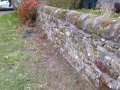 videos de POND GURU - Dry stone wall rebuild