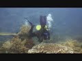 2007 Apo Island Dumaguete Philippines 3of5