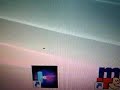 Little insect inside LCD / TFT Monitor