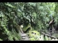 Cataratas de Ahuasiyacu - Tarapoto