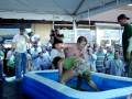 Girls Jello Wrestling in Florida!!!!!!!!!!!!!!!!