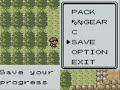 Pokemon Gold - Wall Walking