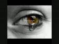 Ver Video