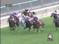 videos de 2008 ステイヤーズＳ STAYERS STAKES
