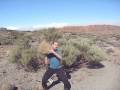 Teide Teide