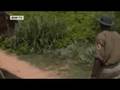 GLOBAL 3000 | From egg thief to nest minder. Sri Lanka's protection program for turtles brings results