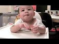 Biscuit Trick