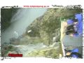 Shotover Canyon Swing - backwards