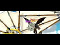 Maplestory ~ VasDeferens ~ 10x Crusader