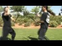 Ninjitsu Koga Ryu - Free Work