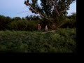 Nick rydin the dang thing!!!!1!111!!exclamationmark!!1