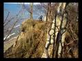Lake Shore Mountain Biking