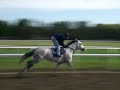Saratoga Training Track