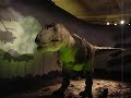 T-Rex no Museu d\
