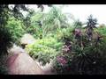 Xcaret-Cozumel-Merid