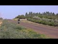 Buell XB 12S D&D Exhaust Buell XB 12S D&D Exhaust
