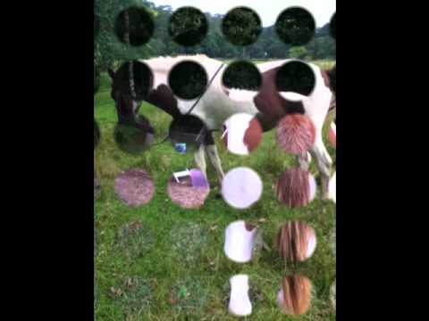 how to patch on my boy