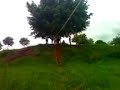 Jãozin da tirolesa