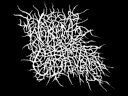 waking the cadaver - chased through the woods (RealVersion)