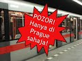Borak-borak Czech - Prague