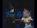 wicked karaoke   for good