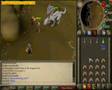 Runescape Dragon Slaying - With D Hally!!