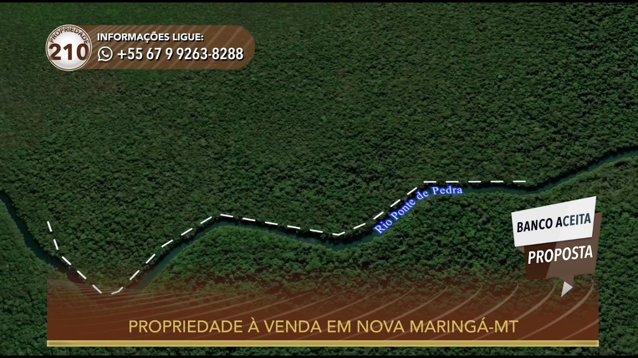 Terralmo 210: Fazenda à venda em Nova Maringá/MT