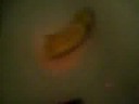 SMCS:: Episode First: Banana Creation.