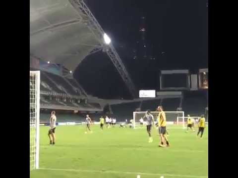 But Kung fu - Zlatan Ibrahimovic