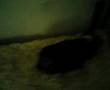 videos de The Chronicles Of Jade Ep 2