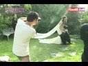 ALSHIN CP- I\ ALSHIN CP- I\