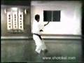 Heian Nidan Shotokai Karate-do