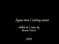Água-viva Living water