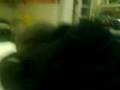 videos de Dimitri am weinen