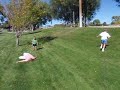 Rolling down the grassy knoll