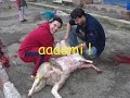 diar djemaa..l\ diar djemaa..l\