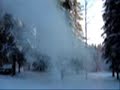 Alaskan Cold