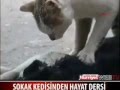أغرب فيديو رأيته في حياتيabdessamad khalou.mp4