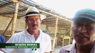 Video: Testimonios sobre efectos del #SismoenlosCampesinos