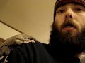 Sugar Glider - Flying Squirrel Couple Sugar Glider - Flying Squirrel Couple