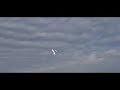 Parkzone Typhoon 3D RC Plane_4