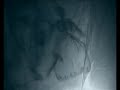 Danse Macabre from The Magician's Cat