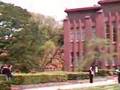 安田講堂前の東大応援部挨拶