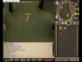 runescape Gecko