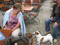 Im Biergarten