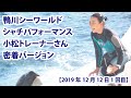 【2019年12月12日1回目】鴨川シーワールド　シャチパフォーマンス　小松トレーナーさん密着バージョン