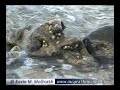 Kwajalein Serenity