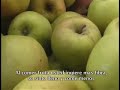 Obesidad Entre Los Hispanos - 1ra Parte