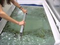 HYDRO DIPPING Gun stock
